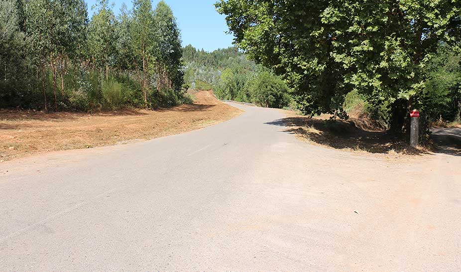 Constituição da Faixa de Gestão de Combustível na Rede de Caminhos e Estradas Municipais