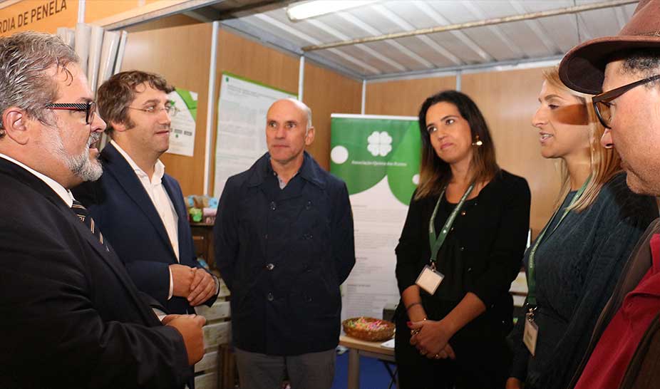 Festas de São Miguel terminaram e ajudaram a potenciar toda a região