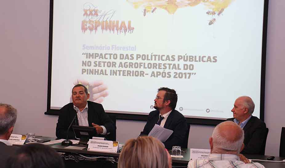 Seminário Florestal. Secretário de Estado realçou a importância da floresta 