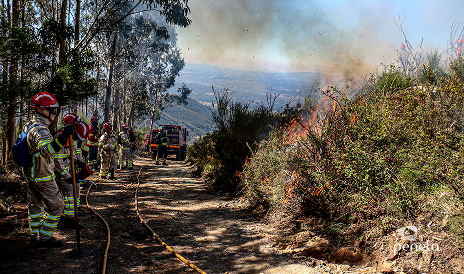 Ações de fogo controlado realizadas em Penela