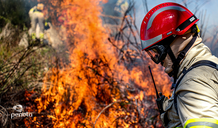 Ações de fogo controlado realizadas em Penela