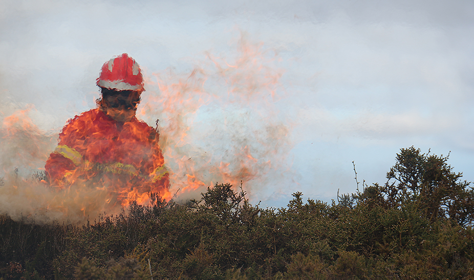 Ação de Fogo Controlado ajuda a prevenir incêndios florestais