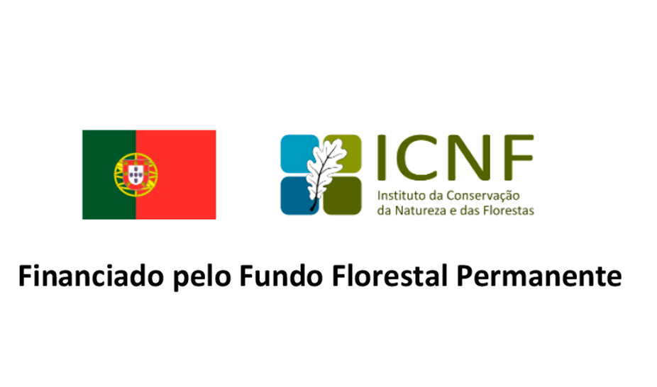 Apoio à Destruição dos Ninhos de Vespa Velutina 2019 