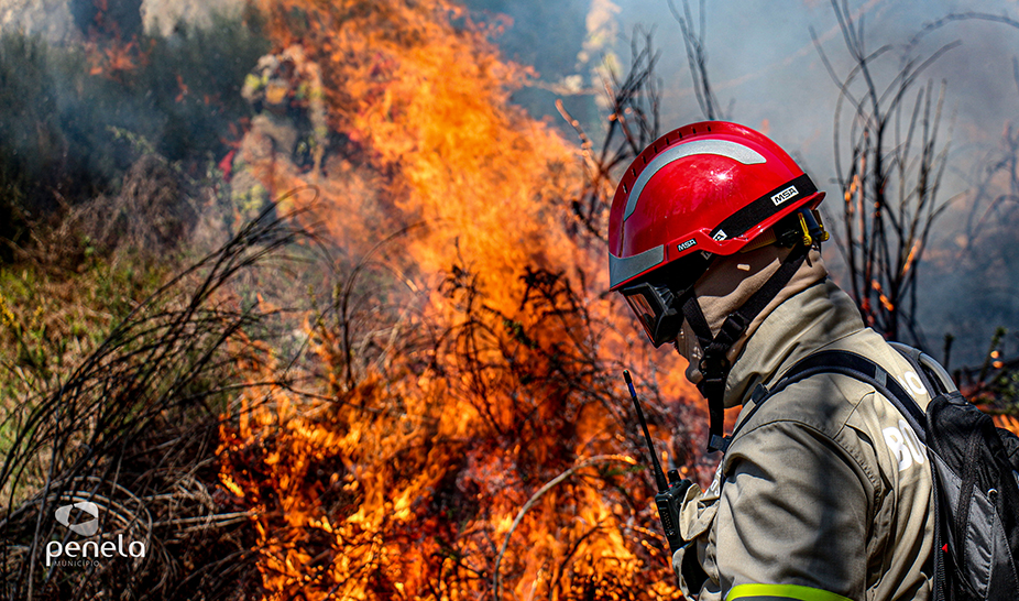 Ações de fogo controlado realizadas em Penela