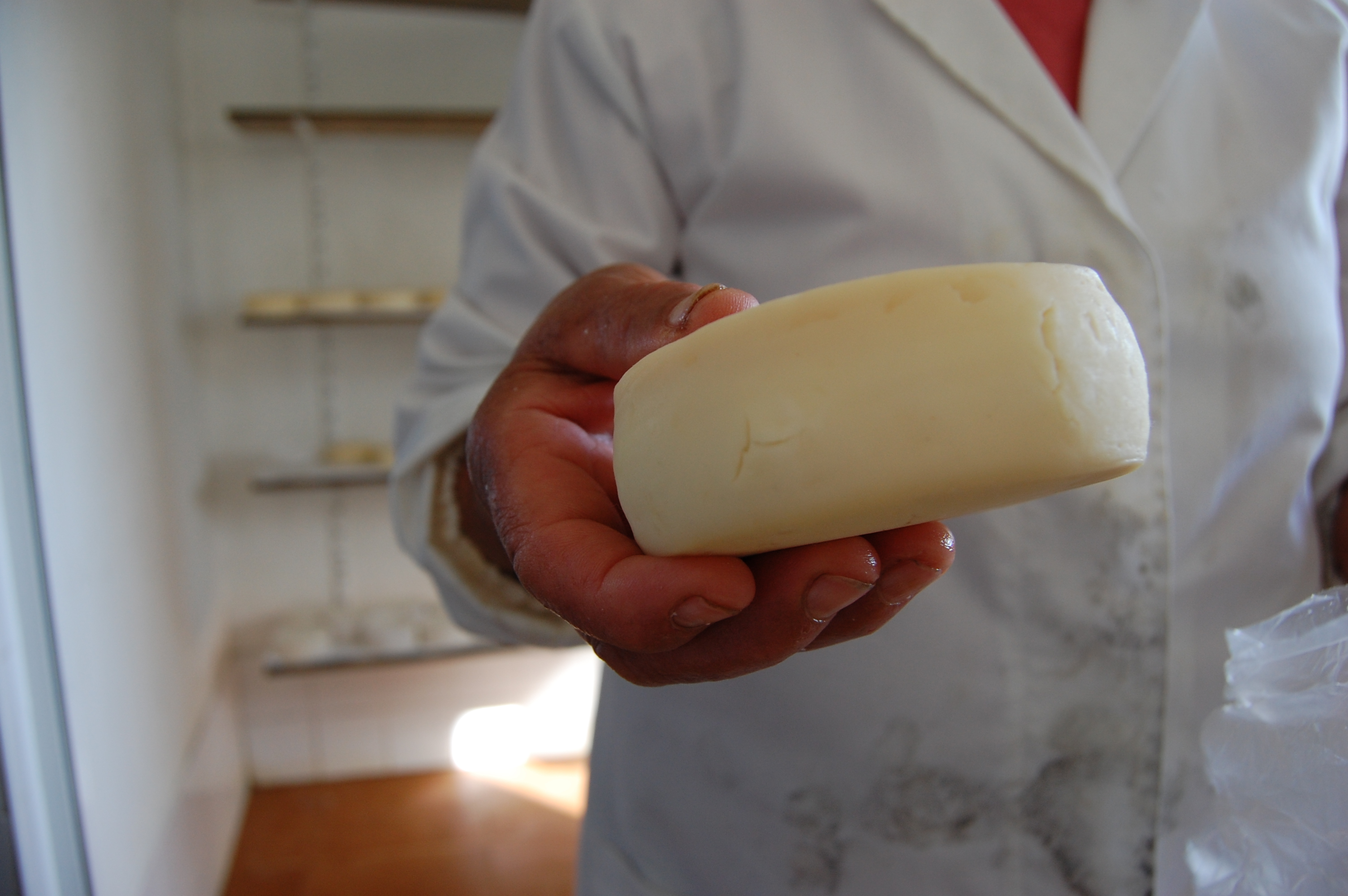 Mercado do Queijo e dos Romanos do Rabaçal
