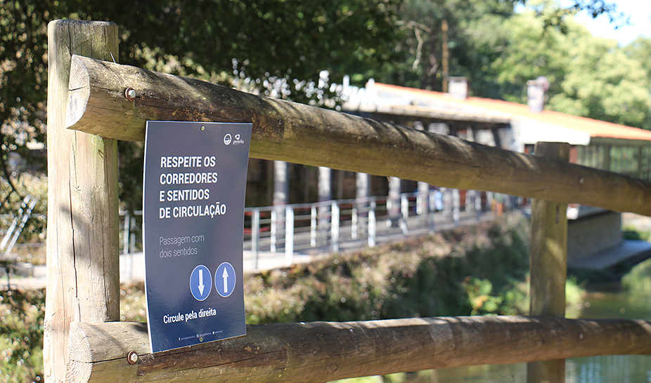 Louçainha recebeu ontem cerimónia da Bandeira Azul