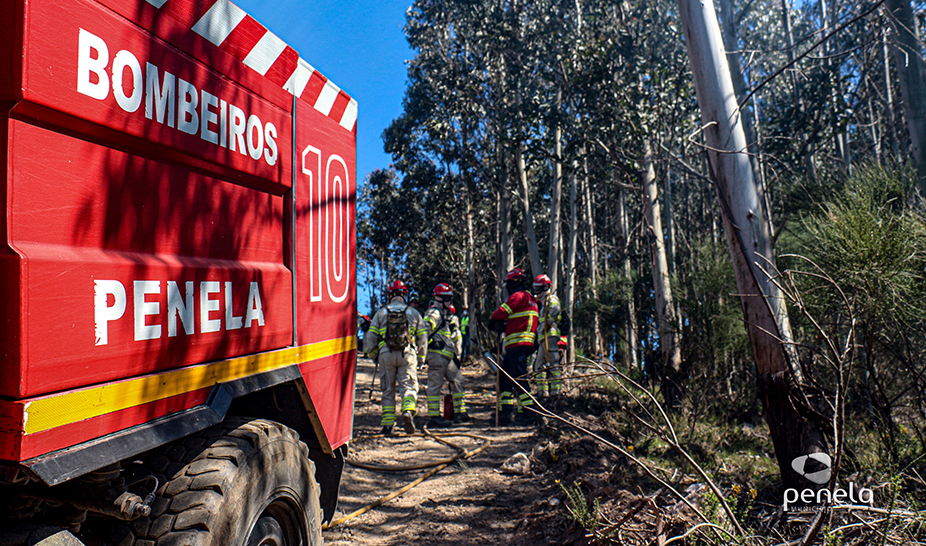 Ações de fogo controlado realizadas em Penela