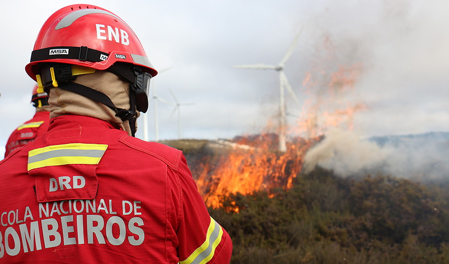 Ação de Fogo Controlado ajuda a prevenir incêndios florestais