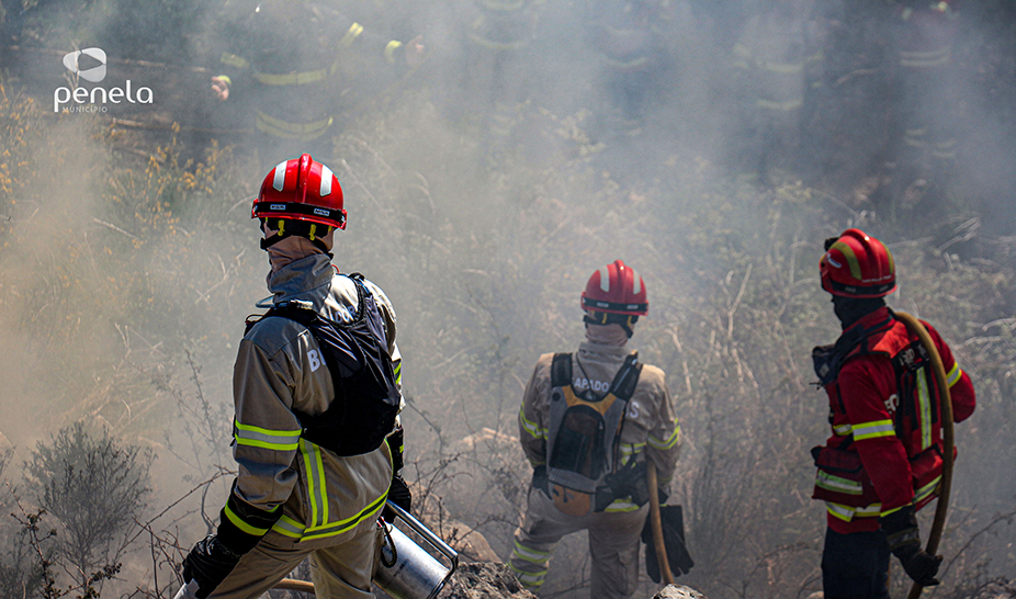 Ações de fogo controlado realizadas em Penela