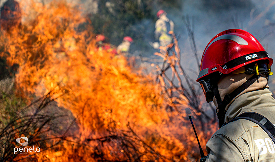 Ações de fogo controlado realizadas em Penela