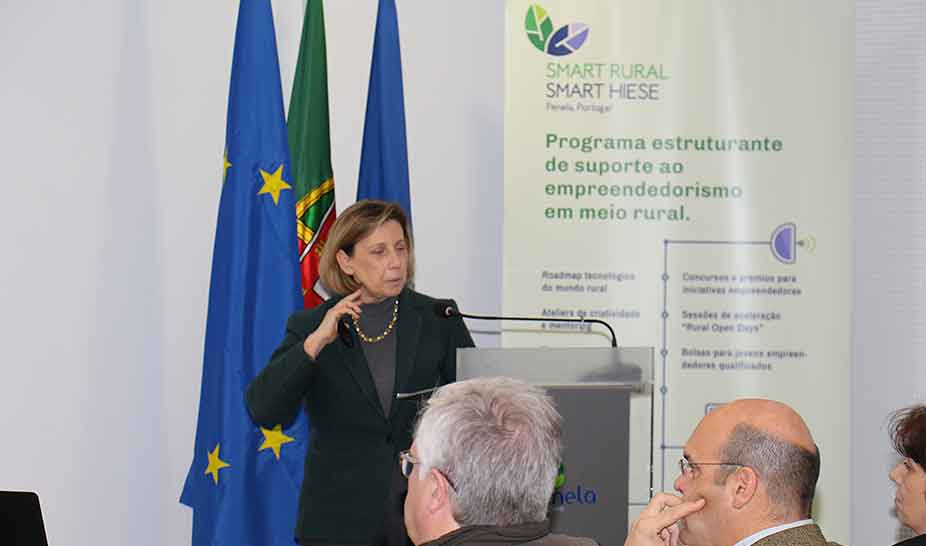 Membros do Governo visitaram Penela em ações de sensibilização de limpeza da floresta