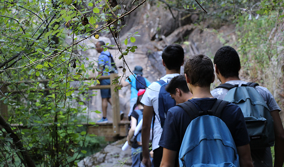 Ponte Mandela por um dia