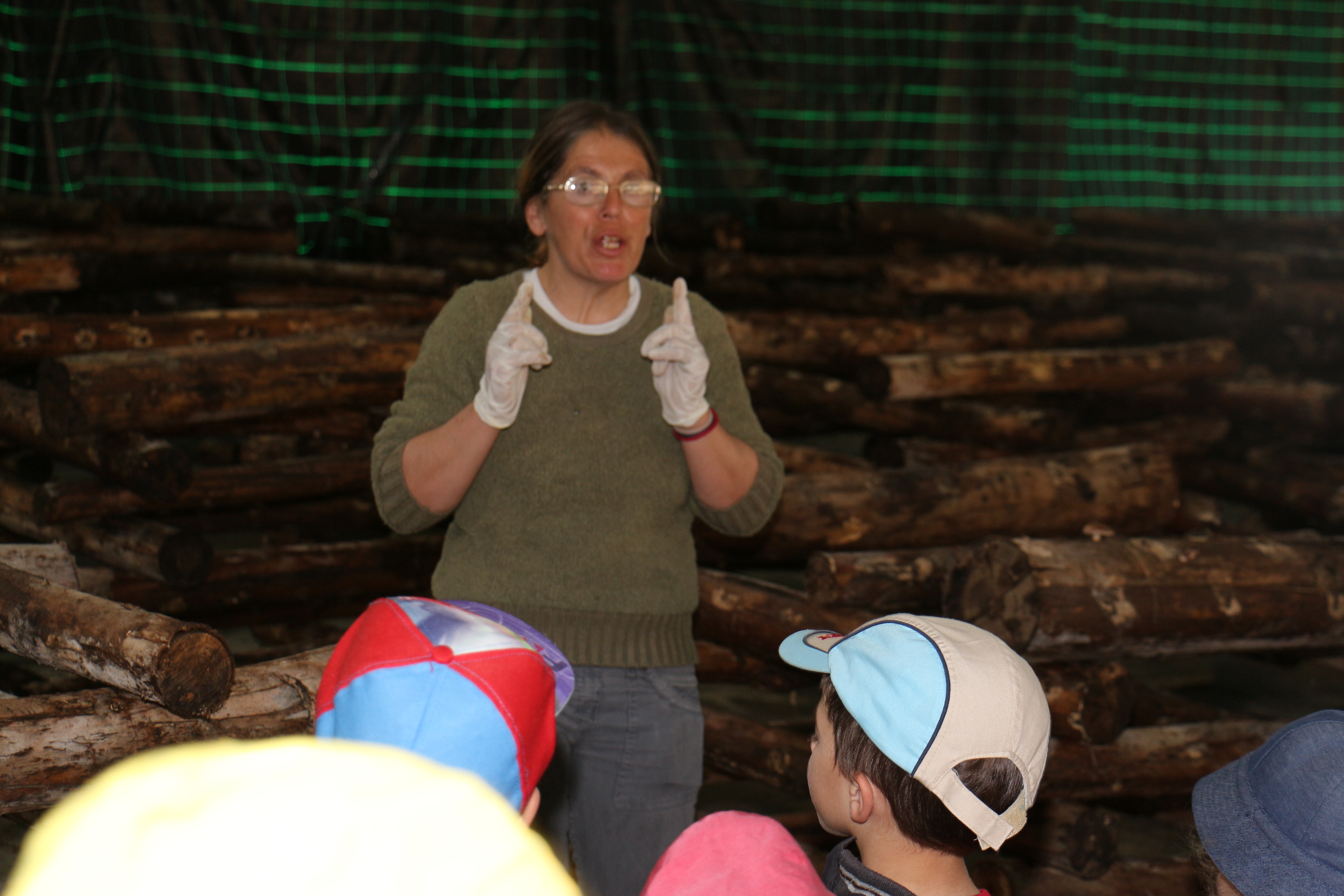 Dia da árvore, água e poesia comemorados no HIESE