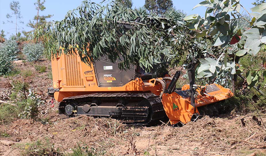 Seminário Florestal - “A Economia Circular na Valorização da Floresta”