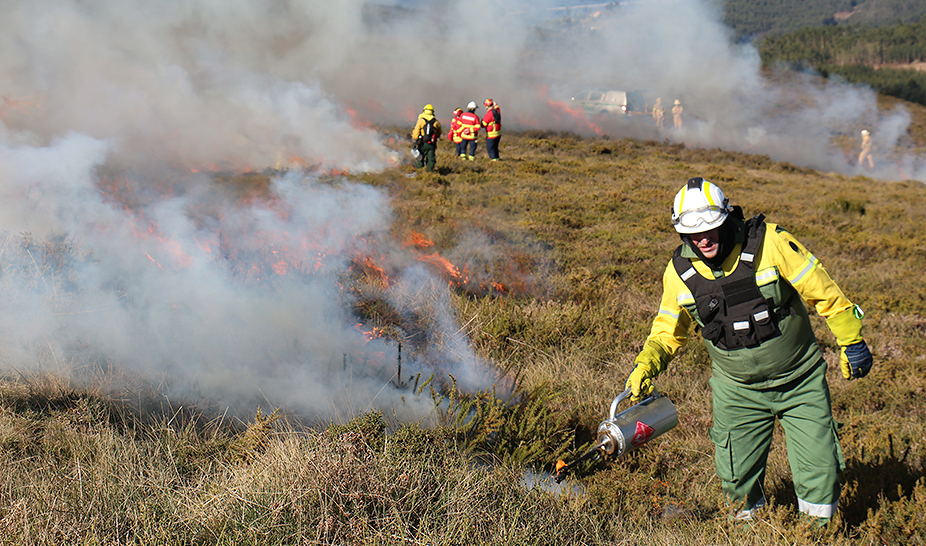Ação de Fogo Controlado ajuda a prevenir incêndios florestais