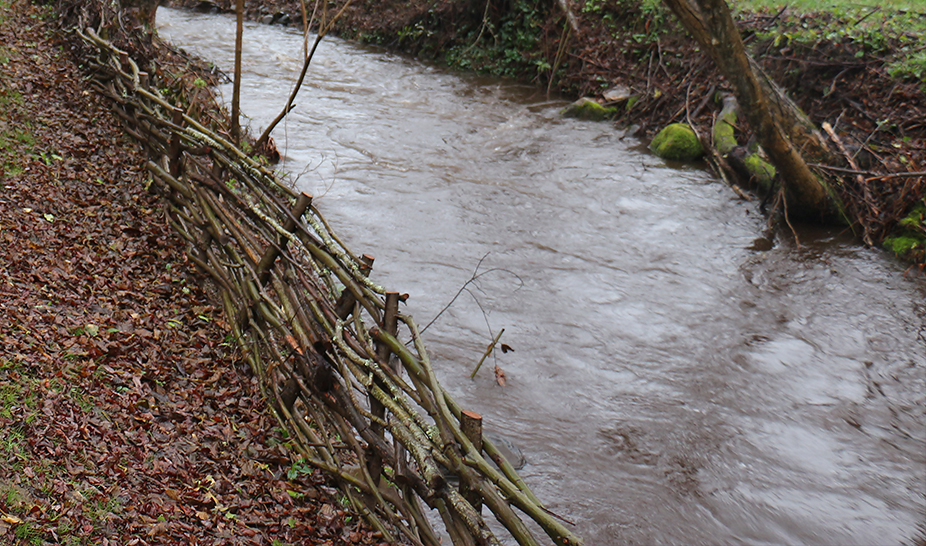 Engenharia Natural é caso de estudo na Quinta da Cerca