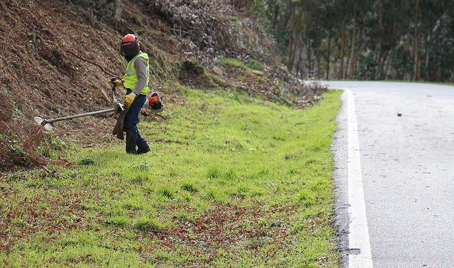 Câmara de Penela limpa floresta em zonas de risco elevado