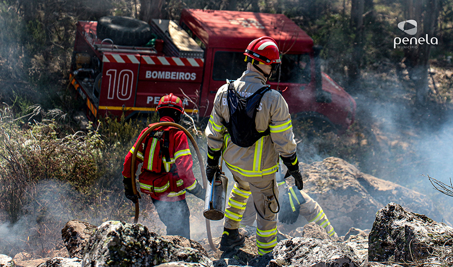 Ações de fogo controlado realizadas em Penela
