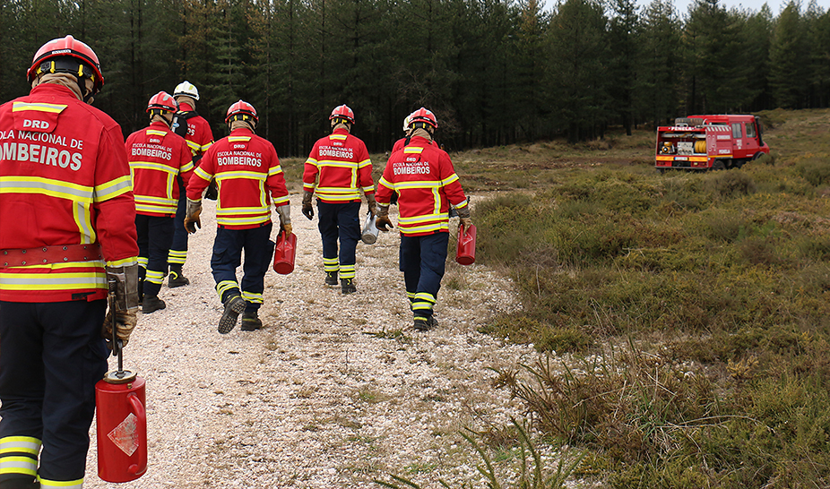 Ação de Fogo Controlado ajuda a prevenir incêndios florestais