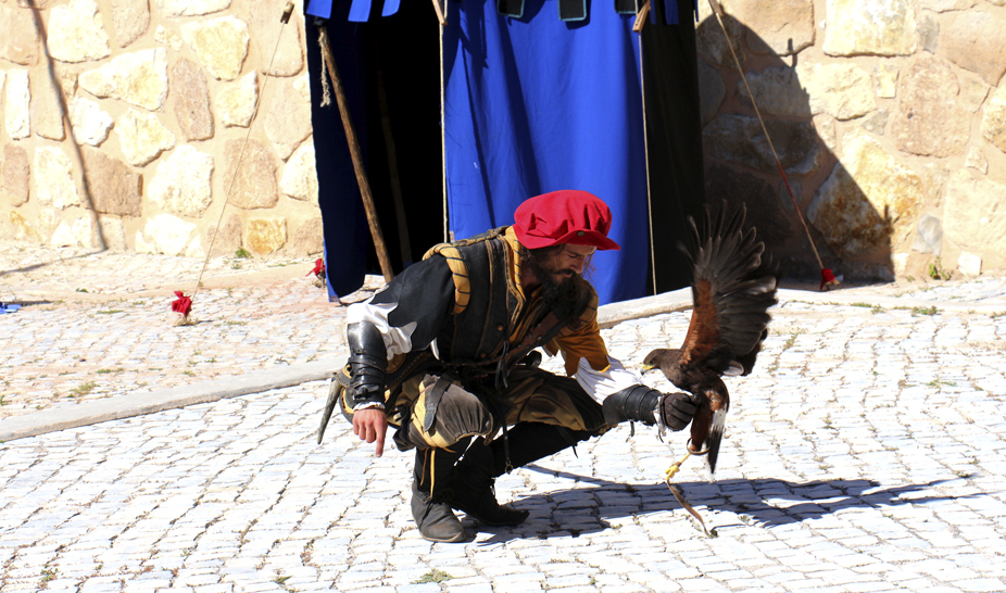 Penela regressou aos tempos do Infante D. Pedro de Avis