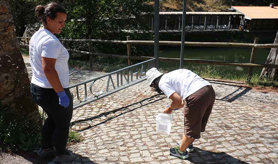 Climagir esteve na praia da Louçainha