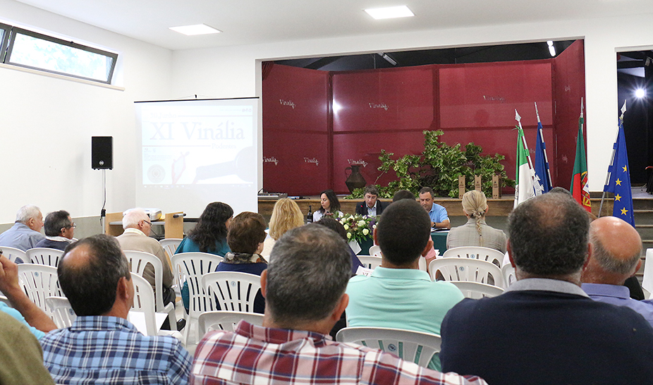Vinhos do Produtor distinguidos na XI Vinália 
