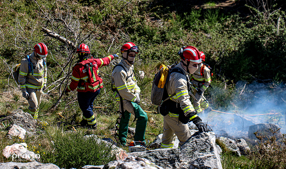 Ações de fogo controlado realizadas em Penela