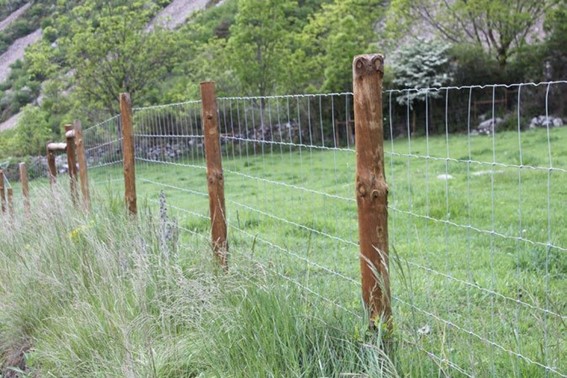 Município de Penela volta a apoiar os agricultores 