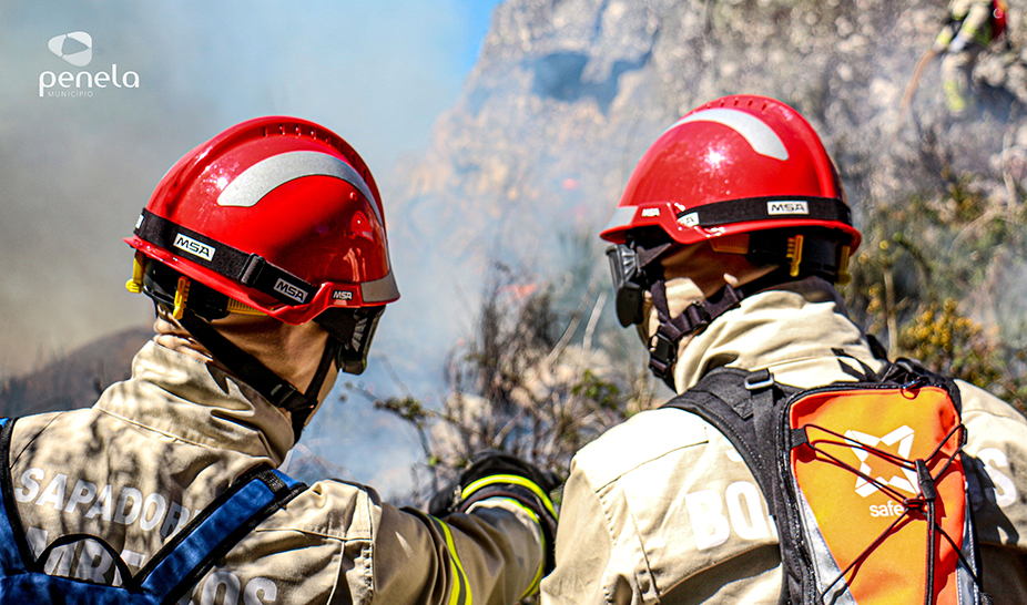 Ações de fogo controlado realizadas em Penela