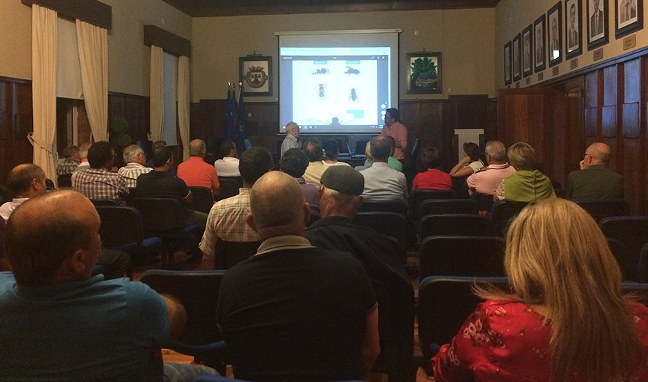 Penela promoveu sessão de esclarecimentos sobre vespa asiática