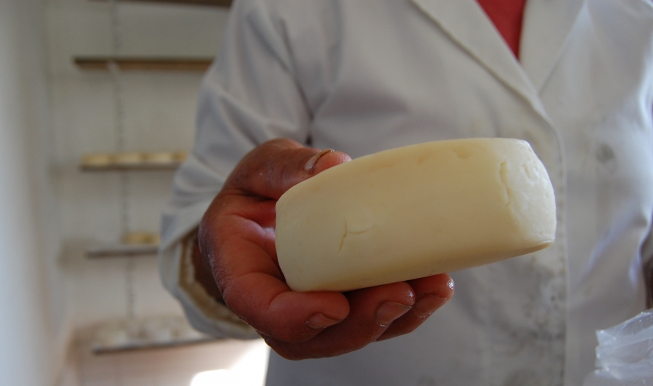 Jornadas de Laticínios - INSCRIÇÕES GRATUITAS