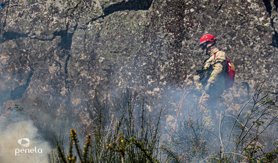 Ações de fogo controlado realizadas em Penela