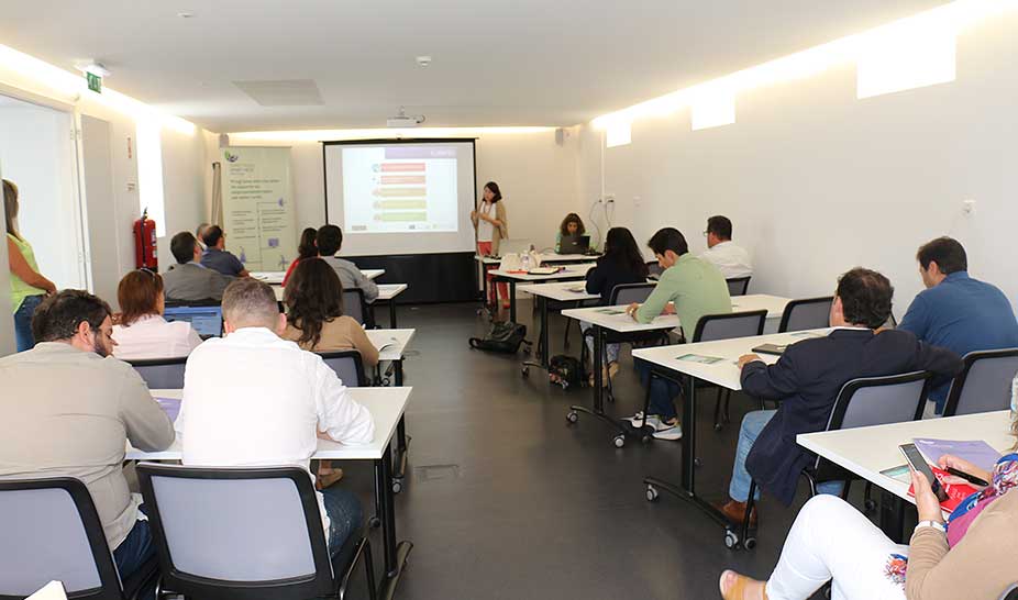Terceiro atelier de criatividade e mentoring no HIESE dedicado às Florestas