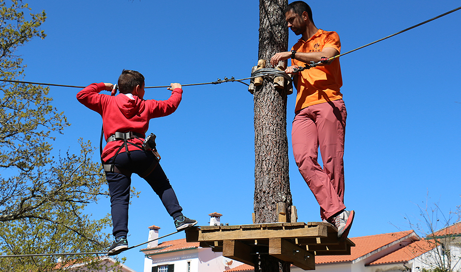Dia Mundial da Árvore, da Água e da Poesia