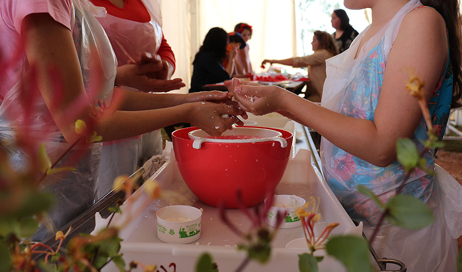 Queijo e romanos fizeram a festa no Rabaçal