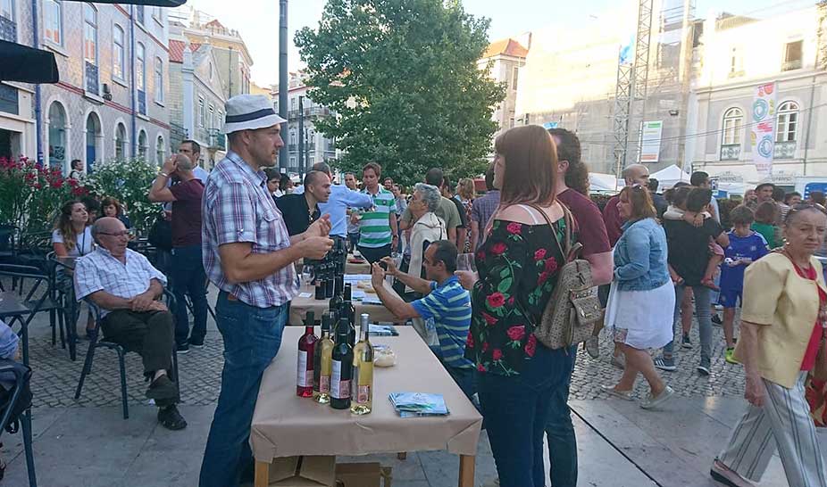 Vinhos Terras de Sicó e Queijo Rabaçal em Lisboa