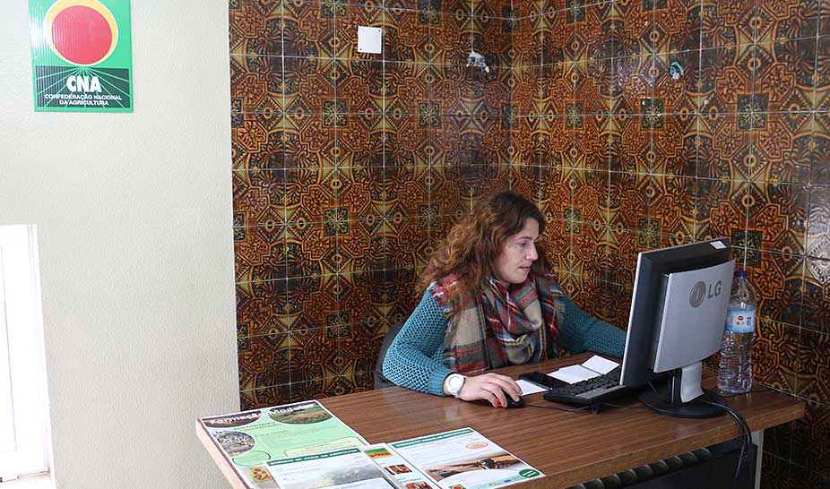 Penela tem, desde dezembro, o Balcão do Agricultor