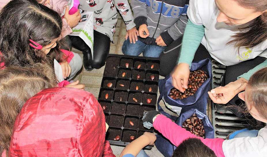 “Semente para o Futuro” as MicroMaternidades de Árvores Autóctones