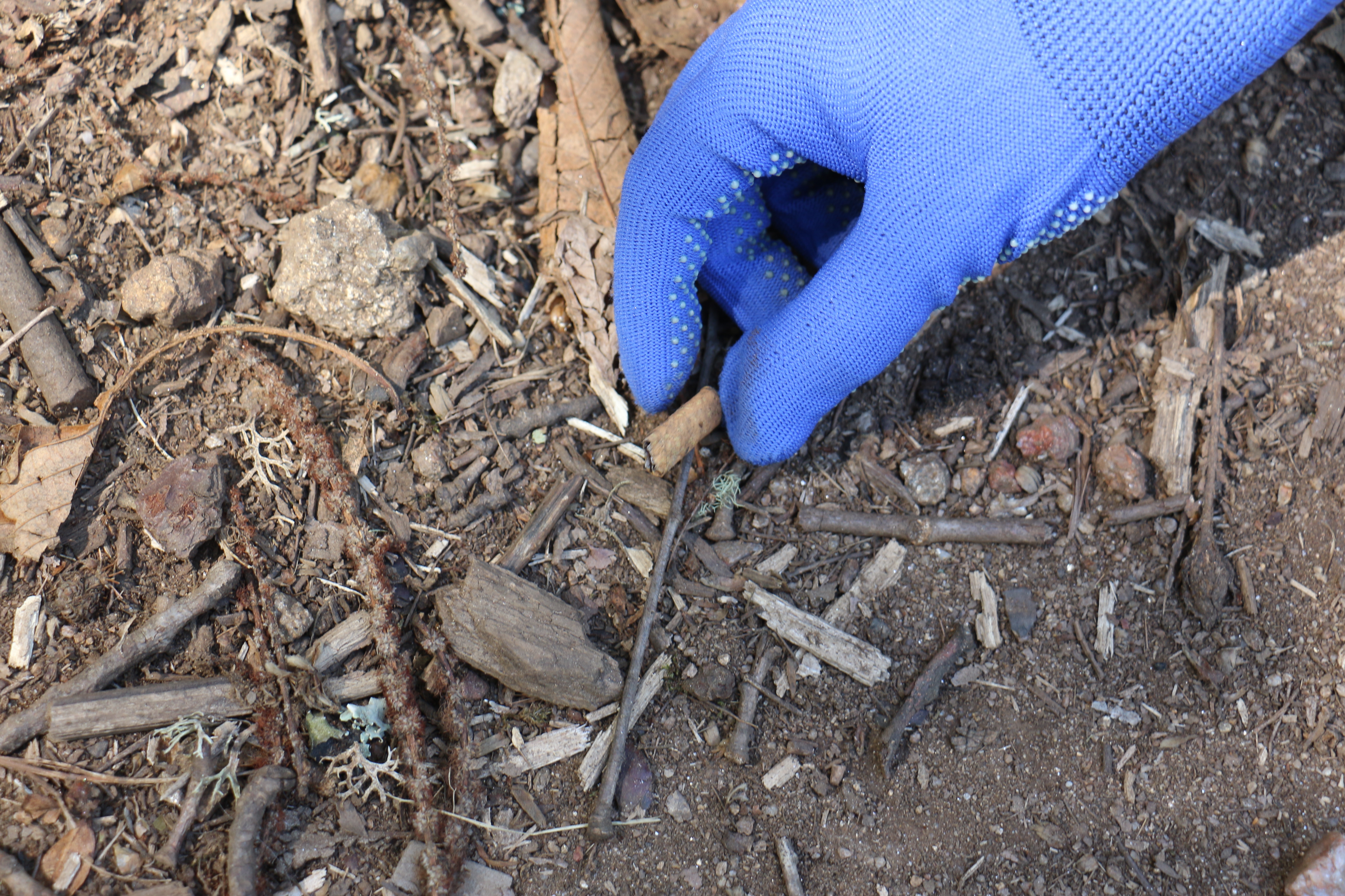 Praia Fluvial da Louçainha recebeu ação de sensibilização ambiental