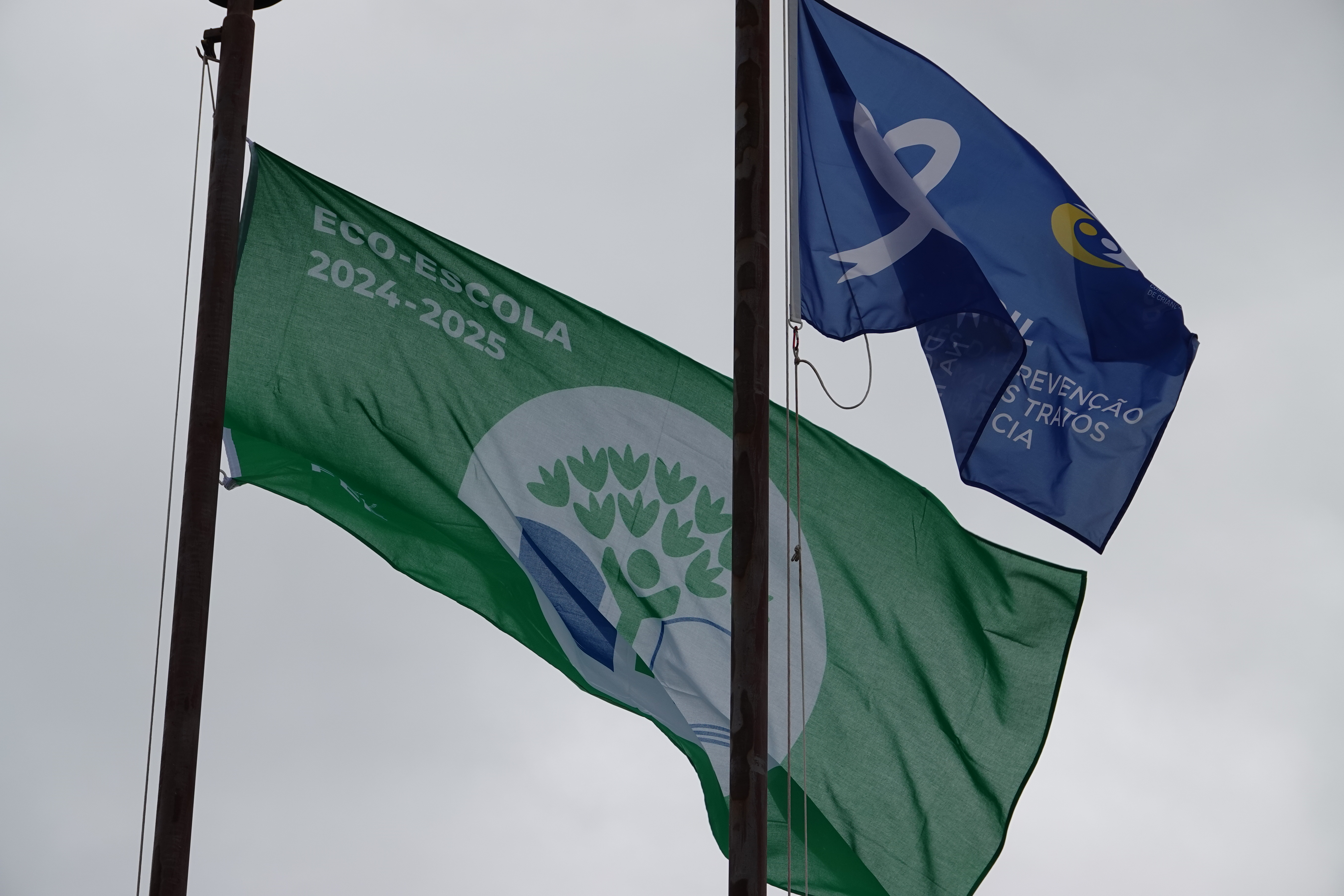 Agrupamento de Escolas Infante D. Pedro assinala Dia Eco-Escolas com diversas atividades dedicadas ao ambiente