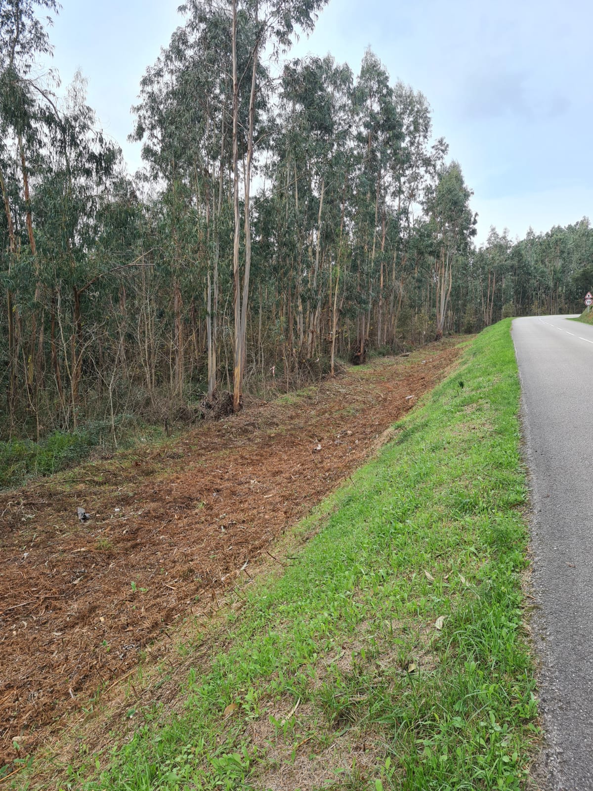 Gestão de combustível em faixas da rede de estradas  e caminhos municipais, zonas industriais e pontos de água