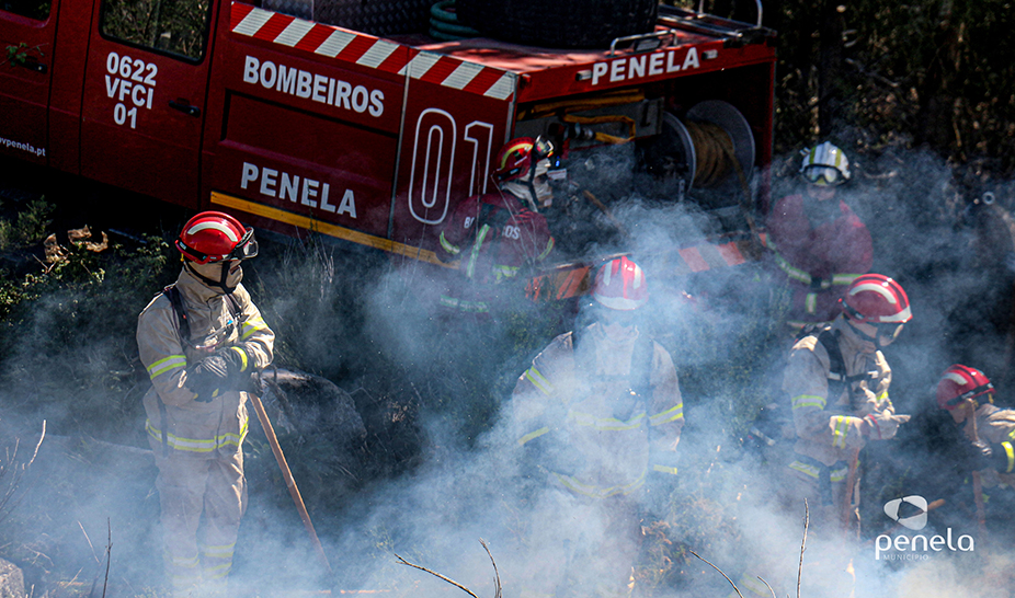 Ações de fogo controlado realizadas em Penela