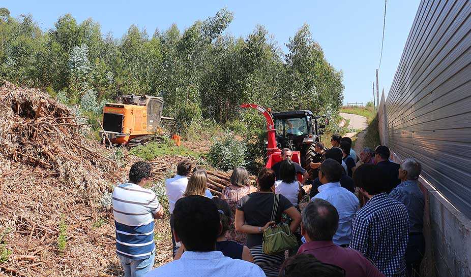 Seminário Florestal - “A Economia Circular na Valorização da Floresta”