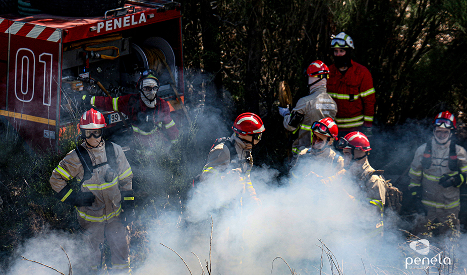 Ações de fogo controlado realizadas em Penela