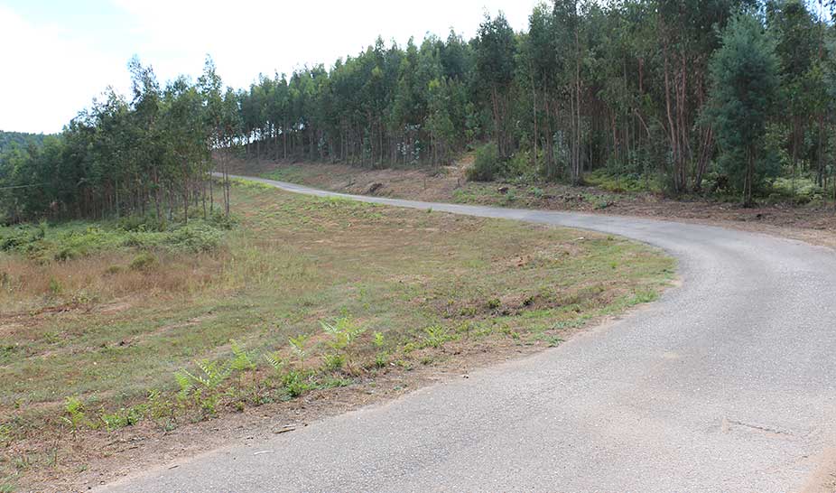 Constituição da Faixa de Gestão de Combustível na Rede de Caminhos e Estradas Municipais
