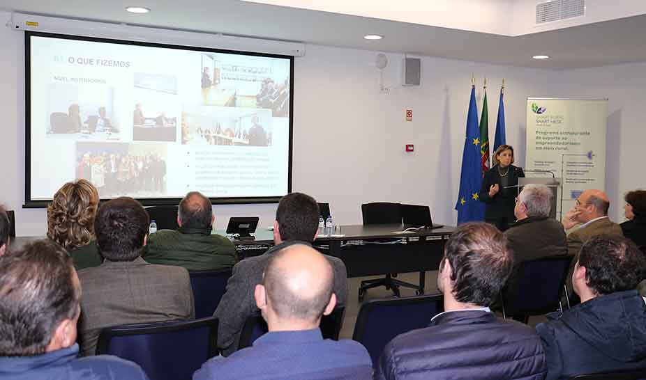 Membros do Governo visitaram Penela em ações de sensibilização de limpeza da floresta