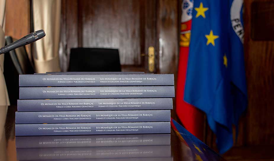 Novo livro de Miguel Pessoa aborda as formas e cores dos Mosaicos da VRR