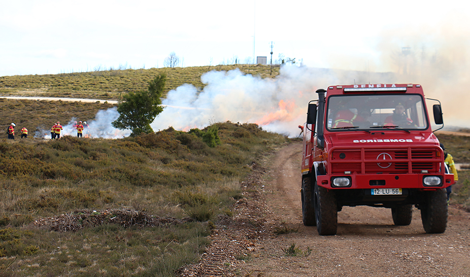 Ação de Fogo Controlado ajuda a prevenir incêndios florestais