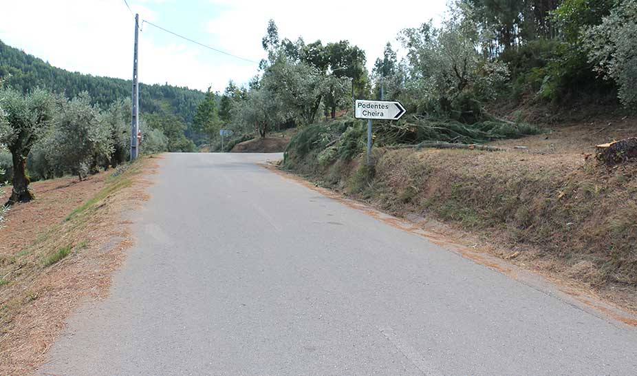 Constituição da Faixa de Gestão de Combustível na Rede de Caminhos e Estradas Municipais