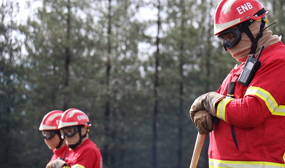 Ação de Fogo Controlado ajuda a prevenir incêndios florestais